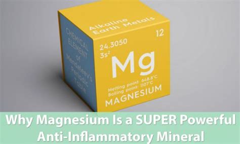 Magnesium: The Nutrient that Supports Heart Health